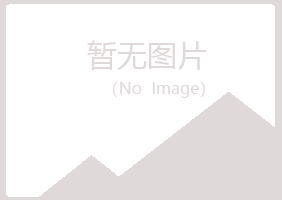 铁法紫山能源有限公司